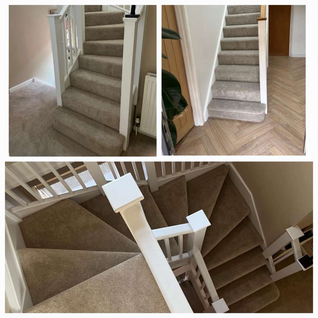 Dog on grey carpet fitted by Coast Carpets Bournemouth Dorset