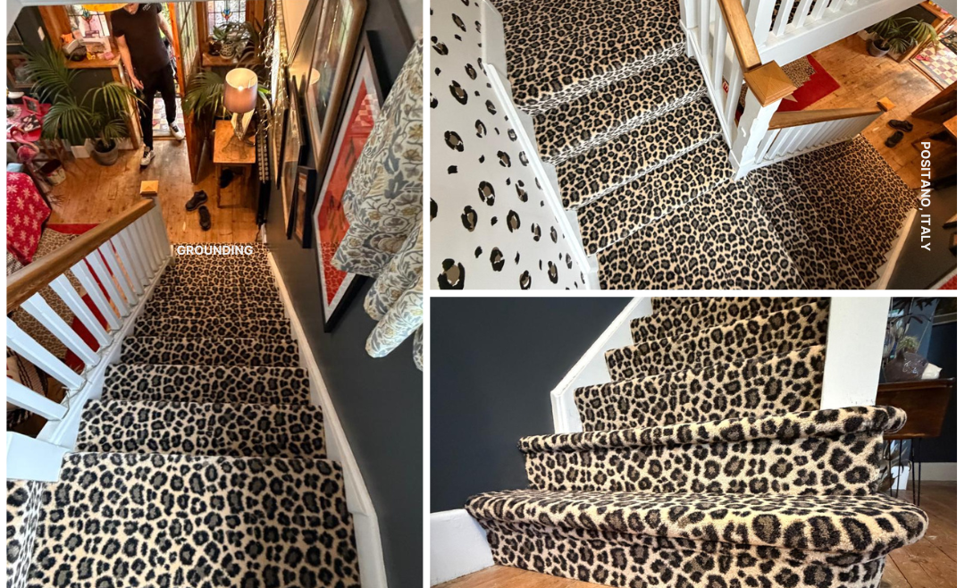 Leopard print carpet Hallway and Stairs