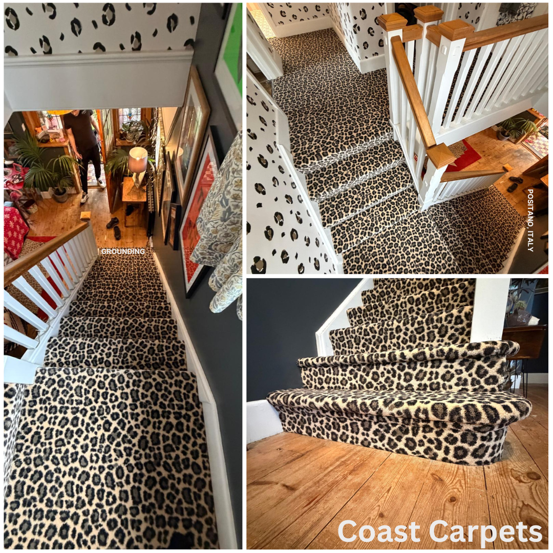 Leopard print carpet Hallway and Stairs